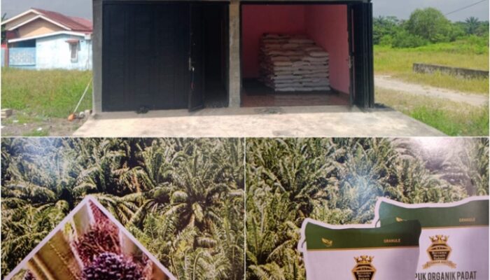 Pupuk Organik Dumai Hadir, Bantu Tanaman Lebih Subur dan Buah Sawit Lebih Melimpah