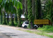 Diduga Gudang Penimbunan BBM Solar Subsidi Belakang Alam Mayang Pekanbaru, Tidak Tertindak Oleh APH Setempat!