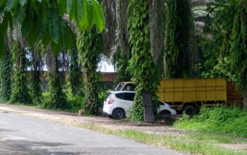 Diduga Gudang Penimbunan BBM Solar Subsidi Belakang Alam Mayang Pekanbaru, Tidak Tertindak Oleh APH Setempat!