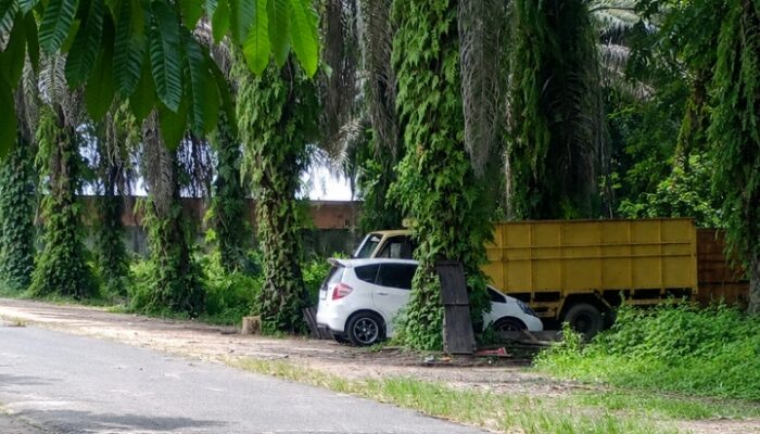 Diduga Gudang Penimbunan BBM Solar Subsidi Belakang Alam Mayang Pekanbaru, Tidak Tertindak Oleh APH Setempat!