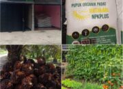 NPKPLUS Organil Hadir dengan Kalium Tinggi, Siap Dukung Produktivitas Kebun