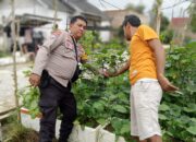 Bhabinkamtibmas Dumai Barat Kawal Budidaya Melon, Perkuat Ketahanan Pangan Nasional dari Tingkat Kelurahan