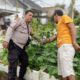 Bhabinkamtibmas Dumai Barat Kawal Budidaya Melon, Perkuat Ketahanan Pangan Nasional dari Tingkat Kelurahan