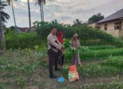 Bhabinkamtibmas Kelurahan Purnama Perkuat Ketahanan Pangan Melalui Pendampingan Pekarangan Bergizi