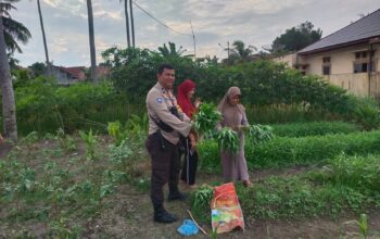 Bhabinkamtibmas Kelurahan Purnama Perkuat Ketahanan Pangan Melalui Pendampingan Pekarangan Bergizi