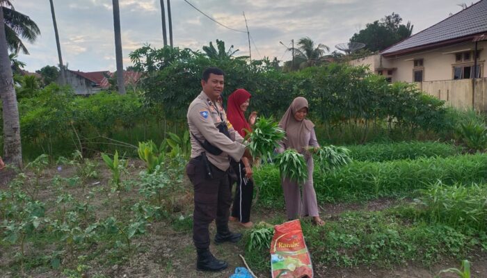 Bhabinkamtibmas Kelurahan Purnama Perkuat Ketahanan Pangan Melalui Pendampingan Pekarangan Bergizi
