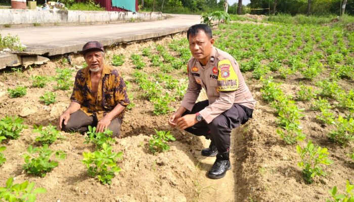 Bhabinkamtibmas Bukit Timah Kawal Ketahanan Pangan, Pastikan Kebun Semangka Warga Siap Panen Maksimal