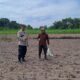 Mengamankan, Bhabinkamtibmas Dumai Barat Turun Langsung Kawal Ketahanan Pangan Nasional