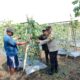 Polsek Sungai Sembilan Kawal Ketahanan Pangan, Kebun Produktif Warga Dipastikan Siap Dukung Swasembada Pangan
