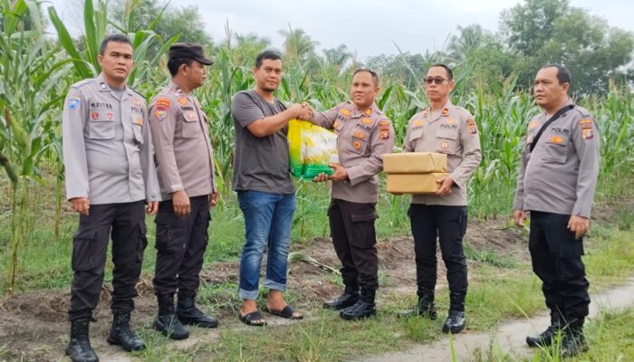 AKP Dedi Nofarizal, SH., MH. Pimpin Pengecekan Jagung Pipil, Tegaskan Komitmen Polri Dukung Swasembada Pangan