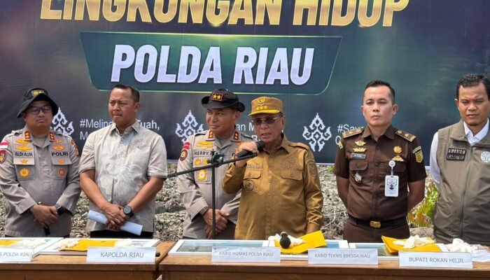 Bupati Rohil Apresiasi Polda Riau Ungkap Perusakan Mangrove, Imbau Masyarakat Tak Lagi Merusak Hutan