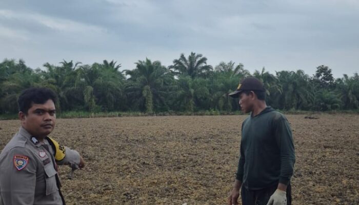 Bhabinkamtibmas Polsek Sungai Sembilan Pastikan Ladang Jagung Siap Tanam, Dukung Ketahanan Pangan Nasional
