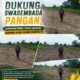DUKUNG SWASEMBADA PANGAN NASIONAL, BHABINKAMTIBMAS SUNGAI DAUN TURUN LANGSUNG SIAPKAN LAHAN TANAM JAGUNG PIPIL KUARTAL III