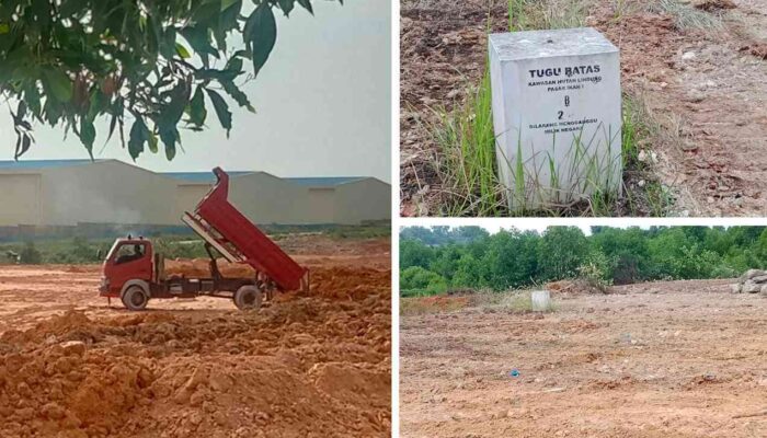 Tugu Batas Kawasan Hutan Lindung HL 24 Lenyap, Aparat Didesak Usut Penimbunan Mangrove Sei Pelunggut