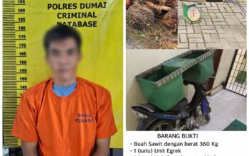 Polsek Medang Kampai Berhasil Ungkap Kasus Pencurian Buah Sawit, Seorang Pria Diamankan
