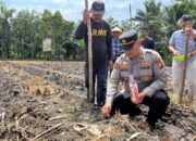 AKP Boy Setiawan Buktikan Komitmen, Polsek Bukit Kapur Ubah Lahan Tidur Jadi Lumbung Ketahanan Pangan