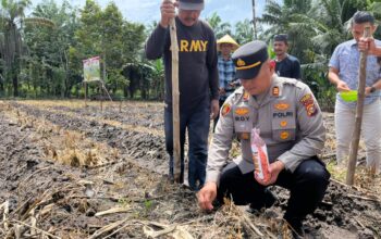 AKP Boy Setiawan Buktikan Komitmen, Polsek Bukit Kapur Ubah Lahan Tidur Jadi Lumbung Ketahanan Pangan