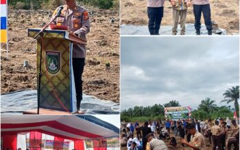 Polsek Medang Kampai Suprizal Bersama Poktan Almadani Tanam Jagung Kuartal III 