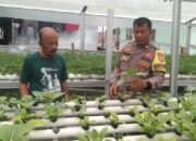 Bhabinkamtibmas Bukit Timah Kawal Ketahanan Pangan, Pastikan Pekarangan Hidroponik Warga Produktif