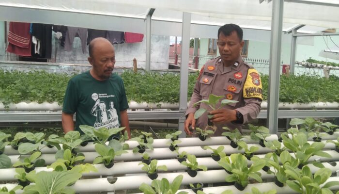 Bhabinkamtibmas Bukit Timah Kawal Ketahanan Pangan, Pastikan Pekarangan Hidroponik Warga Produktif