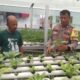 Bhabinkamtibmas Bukit Timah Kawal Ketahanan Pangan, Pastikan Pekarangan Hidroponik Warga Produktif