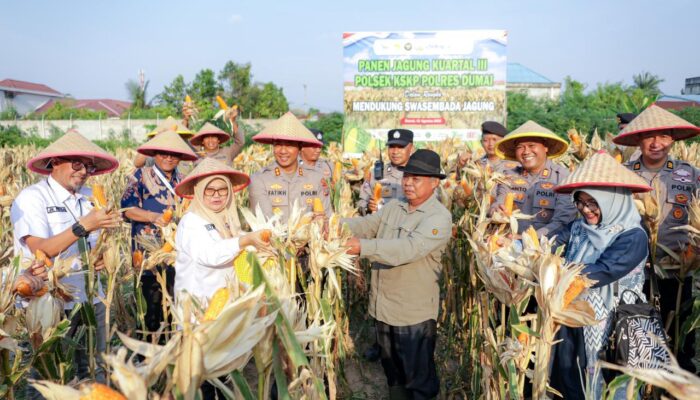 Panen Raya Jagung Pipil Kuartal III Polsek Kawasan Pelabuhan Dukung Swasembada Pangan Tahun 2026