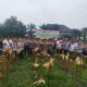 Panen Raya Jagung di Dumai Polsek Dumai Barat Dukungan Swasembada Pangan