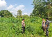 Polsek KSKP Dumai Gerak Cek Lahan PT Patra Niaga untuk Penanaman Jagung
