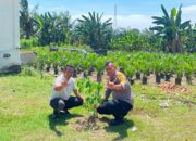 Gencarkan green Policing babinkamtibmas labuhan papan tanam bibit pohon  bersama warga kepenghuluan labuhan papan