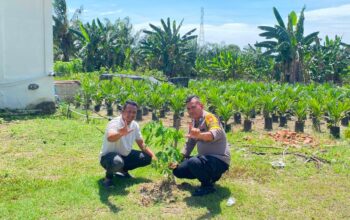Gencarkan green Policing babinkamtibmas labuhan papan tanam bibit pohon  bersama warga kepenghuluan labuhan papan