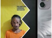 POLSEK DUMAI BARAT AKP DEDI NOFARIZAL UNGKAP KASUS PENCURIAN DUA UNIT HANDPHONE