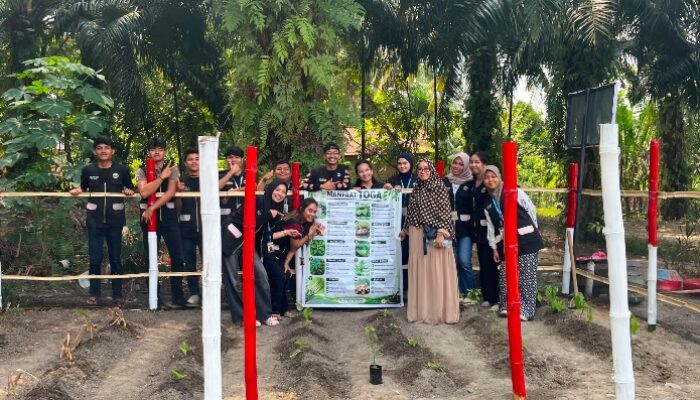 Tanam Manfaat, Tumbuhkan Kepedulian : KKN Kelompok 10 UMRI Kembangkan Program TOGA