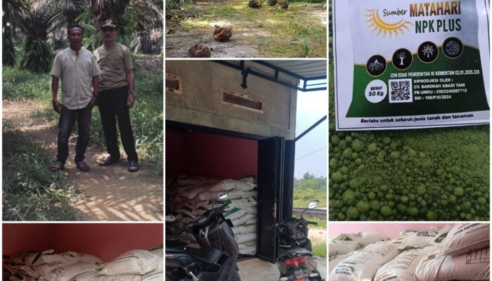 Sudah Pesan 2–3 Kali Pupuk Sumber Matahari NPK Plus Makin Diburu Petani