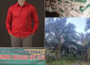 Petani Sudah Pesan 2–3 Kali Pupuk Sumber Matahari NPK Plus Makin Diburu Jangan Sampai Kehabisan
