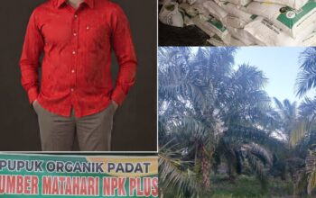 Petani Sudah Pesan 2–3 Kali Pupuk Sumber Matahari NPK Plus Makin Diburu Jangan Sampai Kehabisan