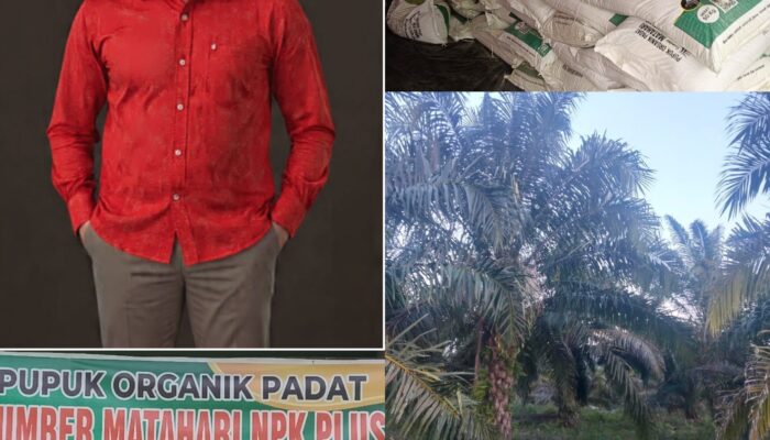 Petani Sudah Pesan 2–3 Kali Pupuk Sumber Matahari NPK Plus Makin Diburu Jangan Sampai Kehabisan