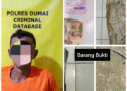 Polsek Bukit Kapur Ungkap Kasus Pencurian Buah Sawit Seorang Pria Diamankan