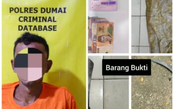 Polsek Bukit Kapur Ungkap Kasus Pencurian Buah Sawit Seorang Pria Diamankan