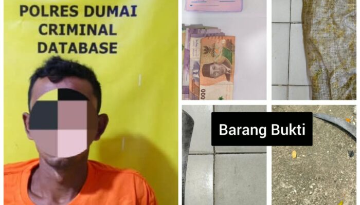 Polsek Bukit Kapur Ungkap Kasus Pencurian Buah Sawit Seorang Pria Diamankan