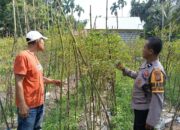 Aksi Nyata Bhabinkamtibmas Sukseskan Ketahanan Pangan Nasional