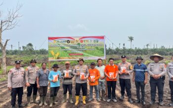 AKP Boy Setiawan Pimpin Penanaman Jagung, Bukit Kapur Sukseskan Swasembada