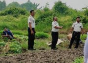 Panen Kangkung 150 Kg, Lapas Bengkalis Tanam Harapan & Wujudkan Ketahanan Pangan