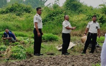 Panen Kangkung 150 Kg, Lapas Bengkalis Tanam Harapan & Wujudkan Ketahanan Pangan