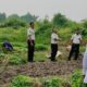 Panen Kangkung 150 Kg, Lapas Bengkalis Tanam Harapan & Wujudkan Ketahanan Pangan
