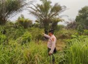 Cegah Karhutla, Polsek Dumai Timur Sisir Tiga Lokasi Rawan